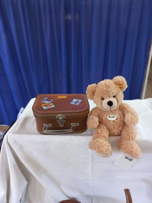 STEIFF BEAR IN TRAVEL SUITCASE